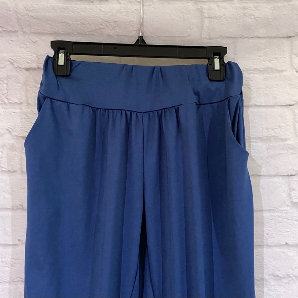 Blue Harem Pants - image 2